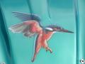 Kingfisher airbrush job